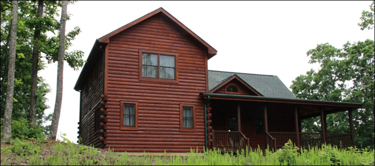 Professional Log Home Borate Application  Norfolk City, Virginia